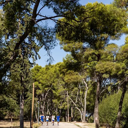Grand Pearl Luxury Retreat דירה
